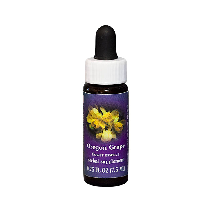 Fes Flower Essences FES Quintessentials Oregon Grape 7.5ml