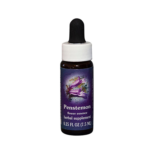 Fes Flower Essences FES Quintessentials Penstemon 7.5ml