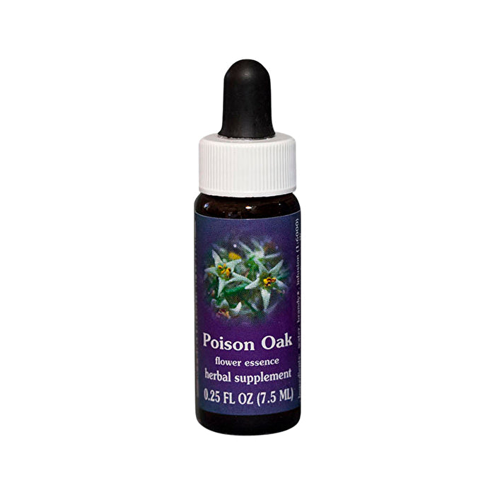 Fes Flower Essences FES Quintessentials Poison Oak 7.5ml