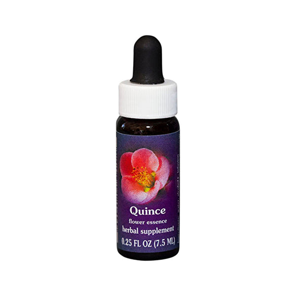 Fes Flower Essences FES Quintessentials Quince 7.5ml