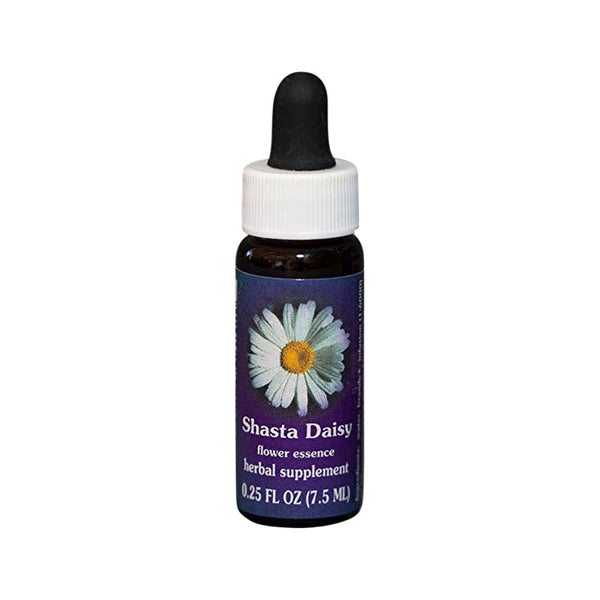 Fes Flower Essences FES Quintessentials Shasta Daisy 7.5ml