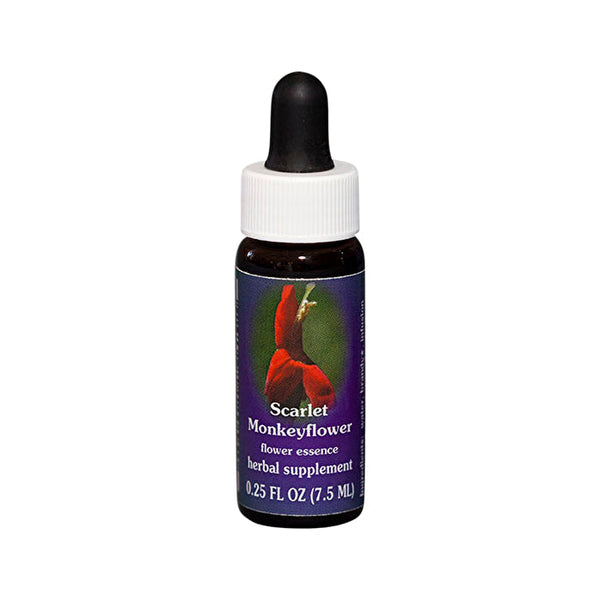 Fes Flower Essences FES Quintessentials Scarlet Monkeyflower 7.5ml