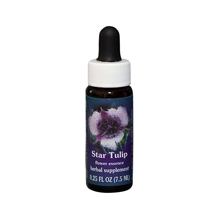 Fes Flower Essences FES Quintessentials Star Tulip 7.5ml