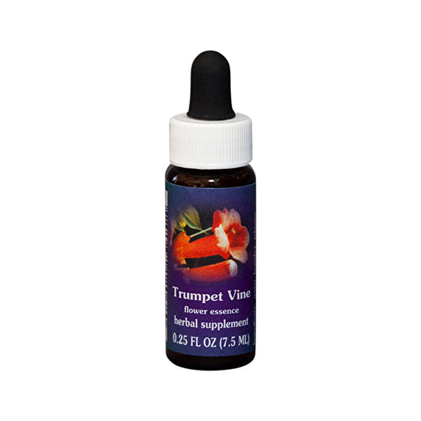 Fes Flower Essences FES Quintessentials Trumpet Vine 7.5ml