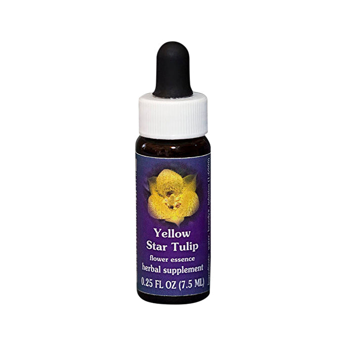 Fes Flower Essences FES Quintessentials Yellow Star Tulip 7.5ml