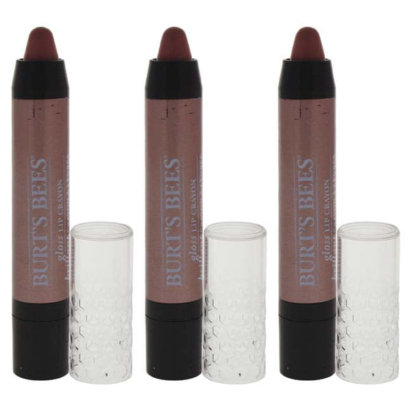 Burts Bees Gloss Lip Crayon - 401 Outback Oasis by Burts Bees for Women - 0.1 oz Lipstick - Pack of 3