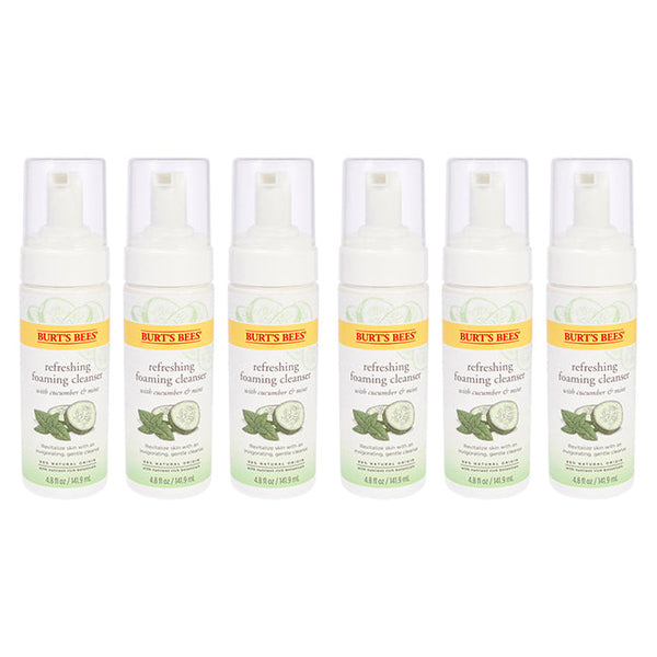 Refreshing Foaming Cleanser - Cucumber-Mint by Burts Bees for Unisex - 4.8 oz Cleanser - Pack of 6