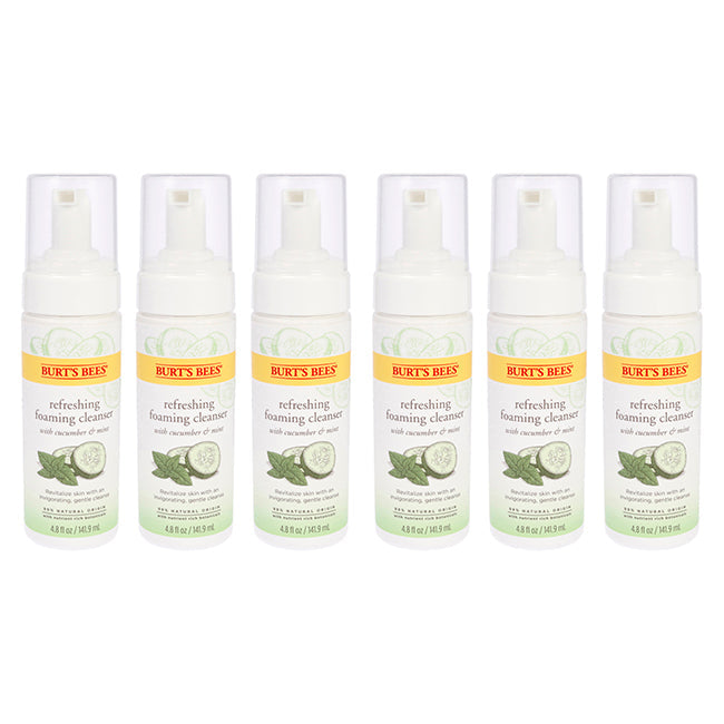 Refreshing Foaming Cleanser - Cucumber-Mint by Burts Bees for Unisex - 4.8 oz Cleanser - Pack of 6