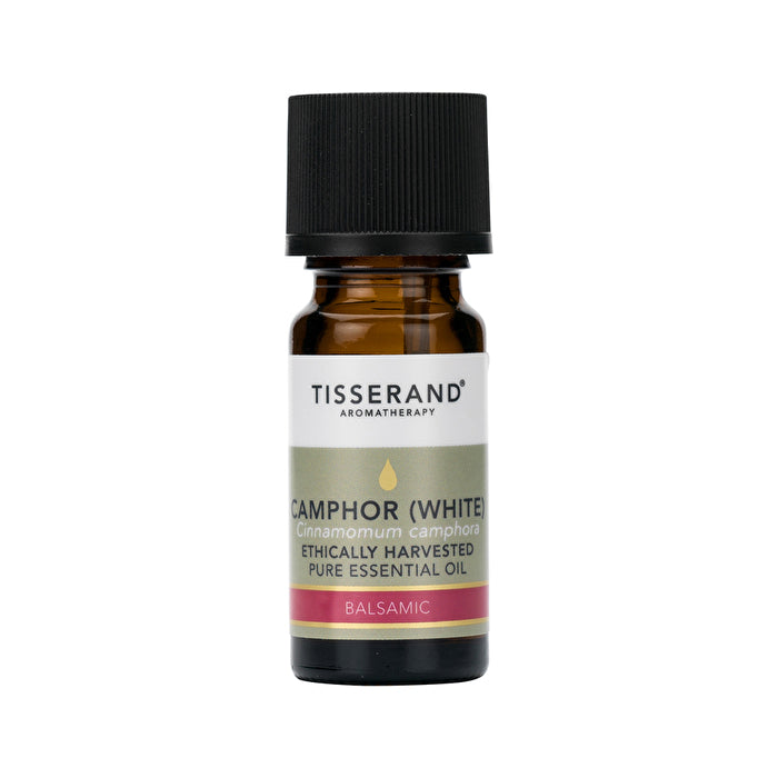 Tisserand Essential Oil Camphor (White) 9ml