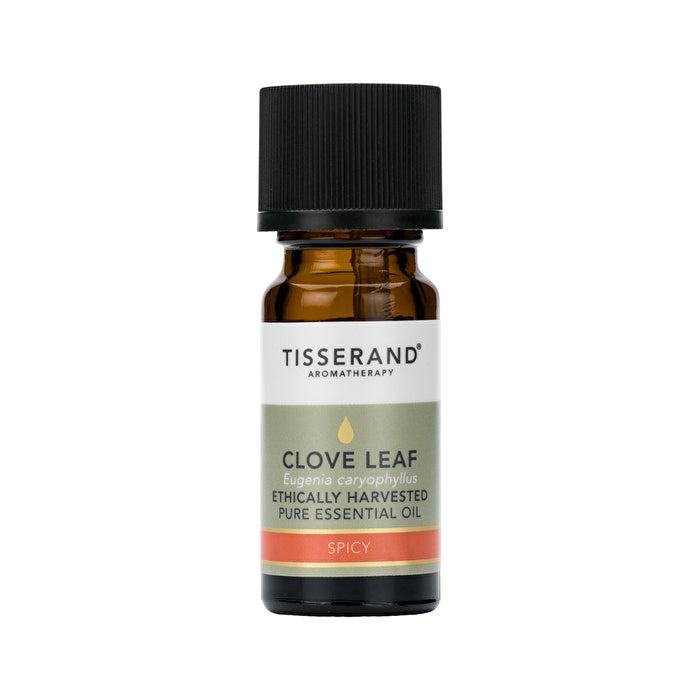 Tisserand Essential Oil Clove Leaf 9ml