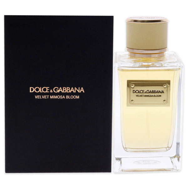 Dolce and Gabbana Velvet Mimosa Bloom by Dolce and Gabbana for Women - 5 oz EDP Spray