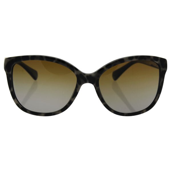 Dolce & Gabbana Dolce and Gabanna DG 4258 1995/T5 - Leopard On Black/Brown Gradient Polarized by Dolce and Gabbana for Women - 56-17-140 mm Sunglasses